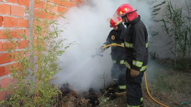 Photo of Incendio cuando quemaba pastizales