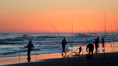 Photo of Protocolo para poder ir de pesca