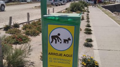 Photo of Cestos para desperdicios de mascotas en Claromecó