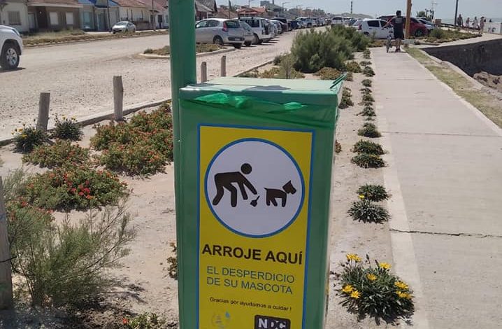 Photo of Cestos para desperdicios de mascotas en Claromecó
