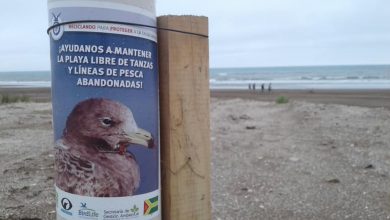 Photo of El COA 3 cauquenes junto a Gestión Ambiental agregaron contenedores de líneas