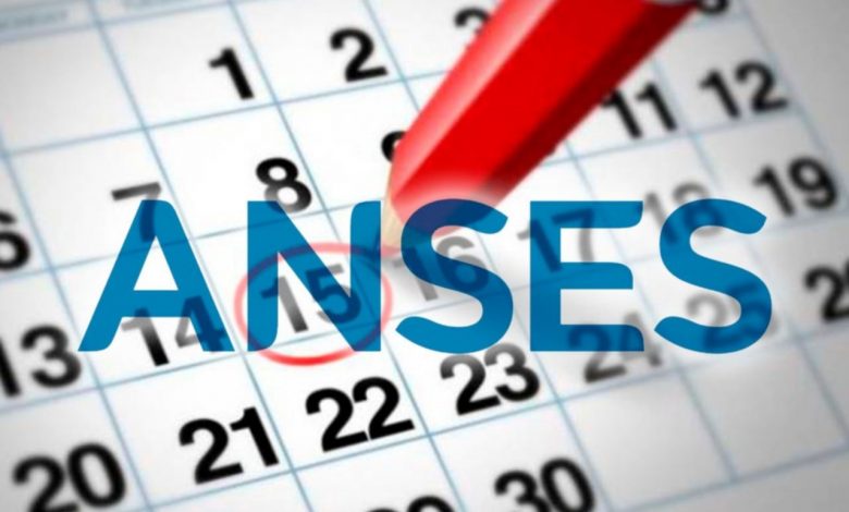 Photo of ANSES: Calendarios de pago de este viernes 15 de mayo
