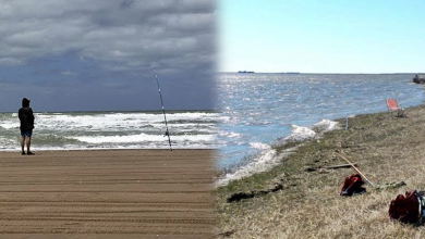 Photo of A partir de hoy se habilita la pesca en arroyos, mar y lagunas