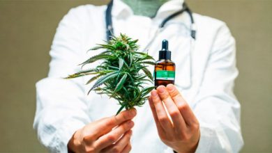 Photo of Autorizaron el cultivo de cannabis medicinal y la venta de aceites en farmacias