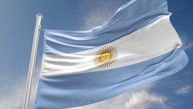 Photo of El Instituto Browniano entregará una Bandera Argentina al Ente Descentralizado