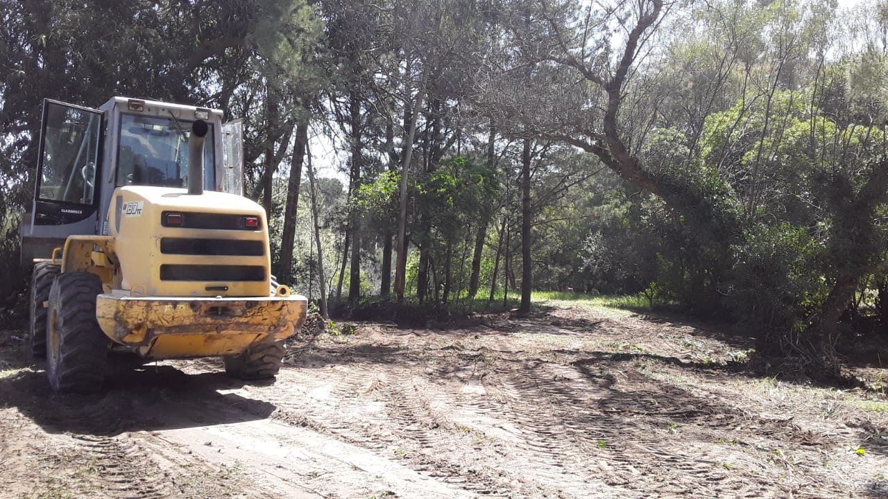 Photo of Nuevo paseo entre el puente vehicular y Puerto Mosquito y reunión con Bomberos