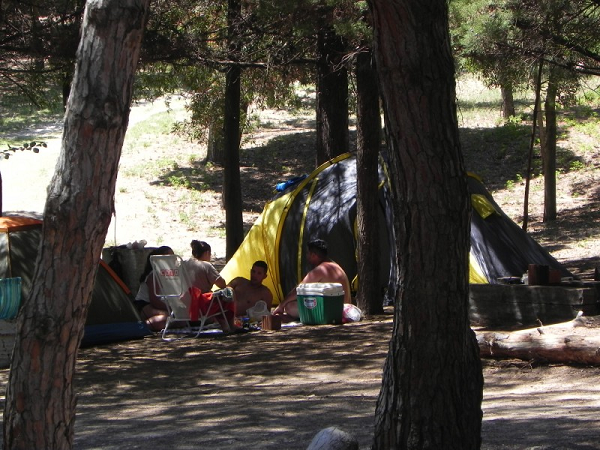 Photo of Finalmente autorizaron a los campings a abrir durante la temporada de verano