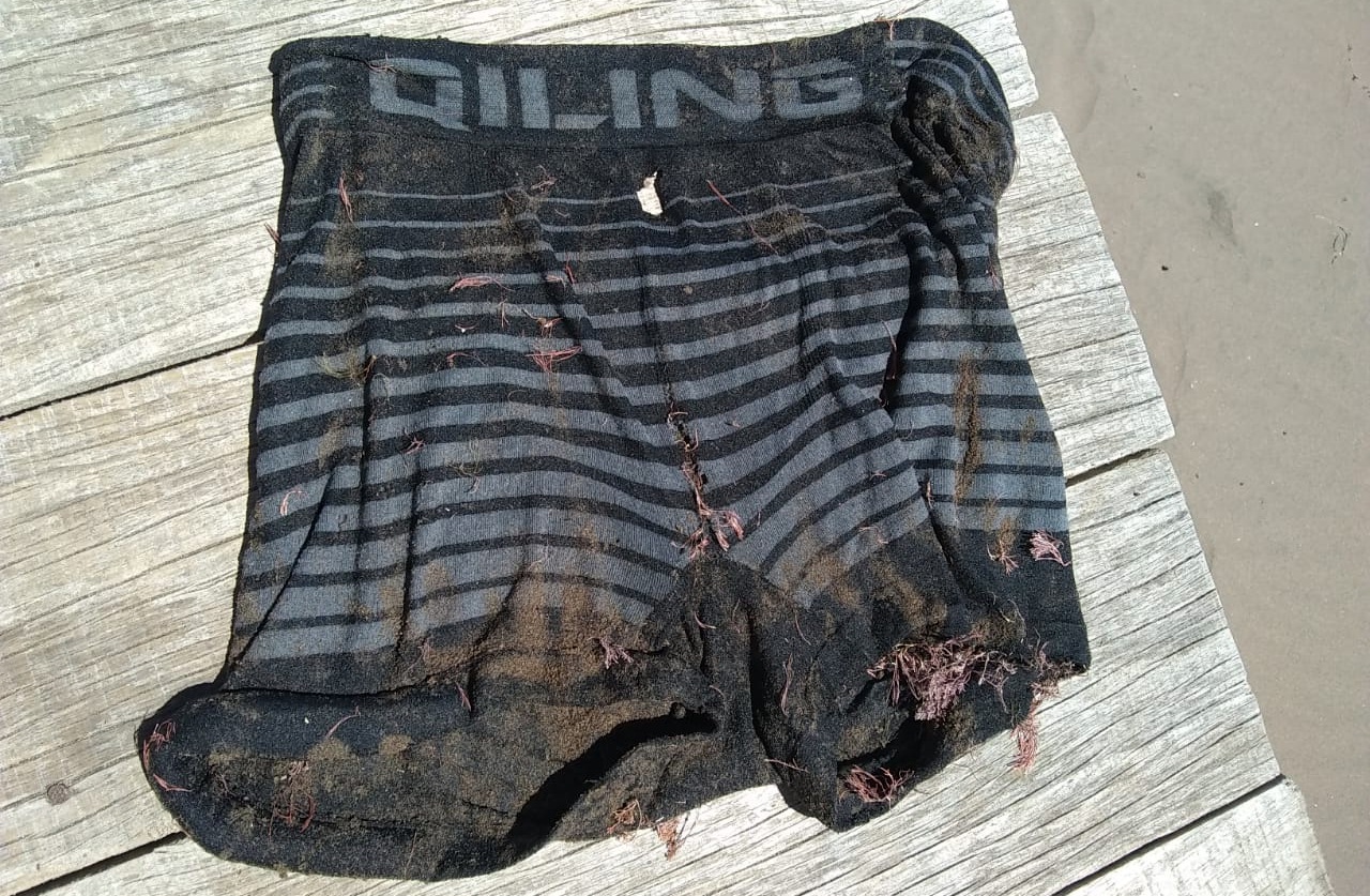 Photo of Encontraron en el mar un boxer que podría ser de Barreto