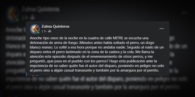 Photo of Preocupación en Orense por agresión a perros