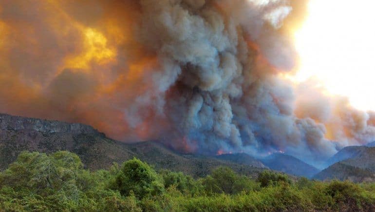 Photo of Incendios en la Patagonia: cuando el hombre causa estragos